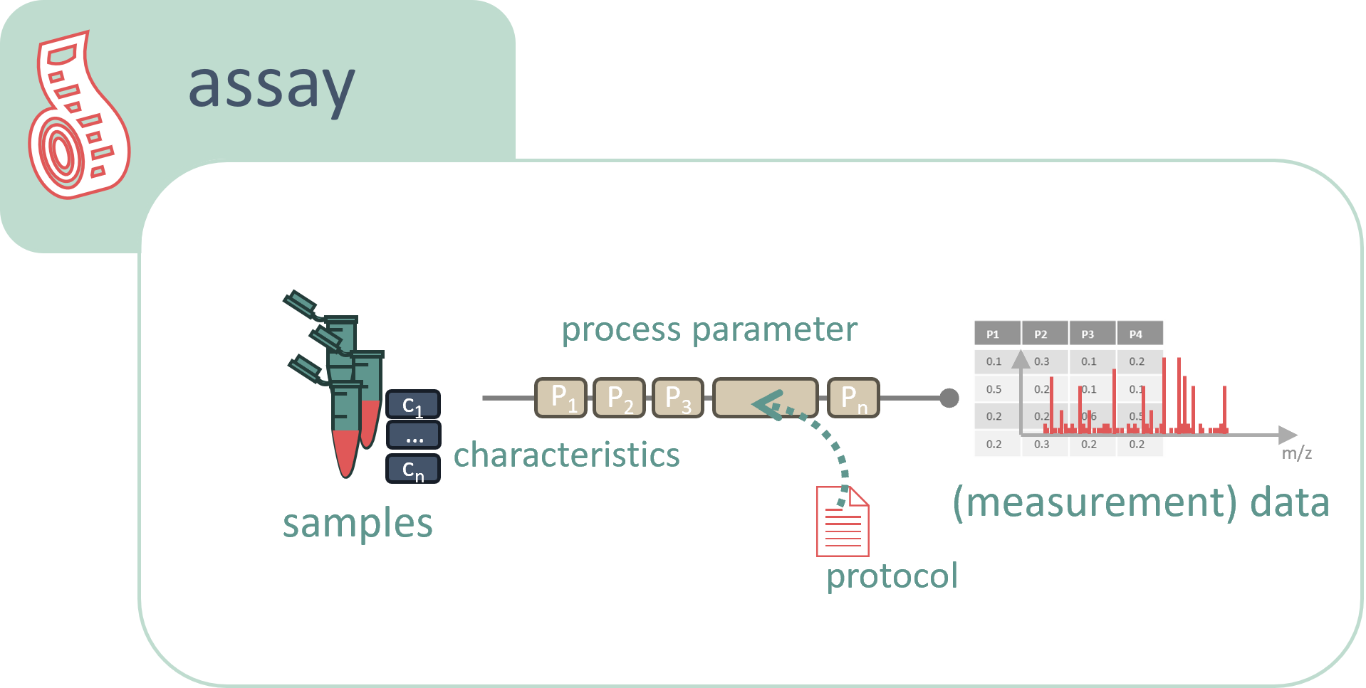 Documentation Principle