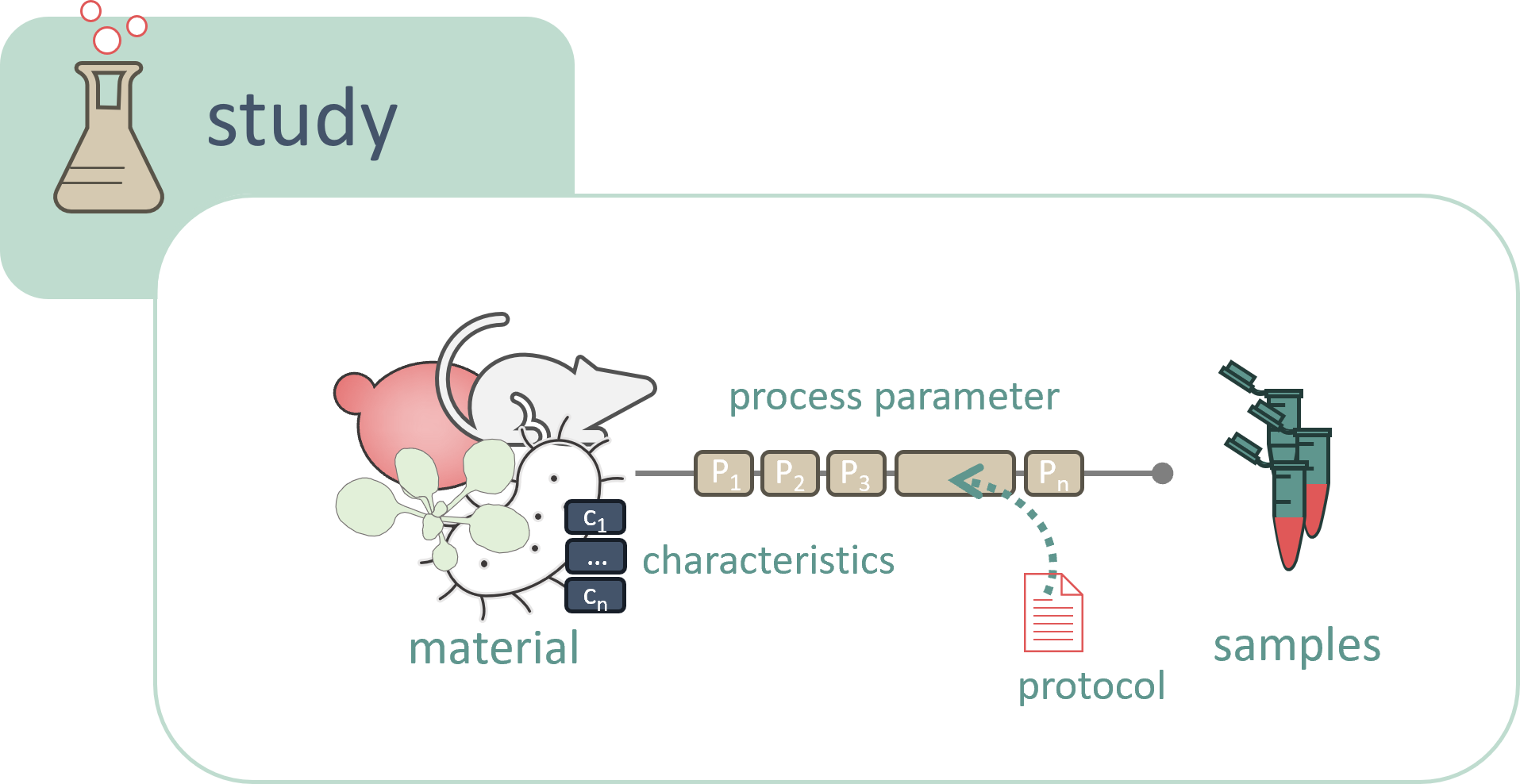 Documentation Principle