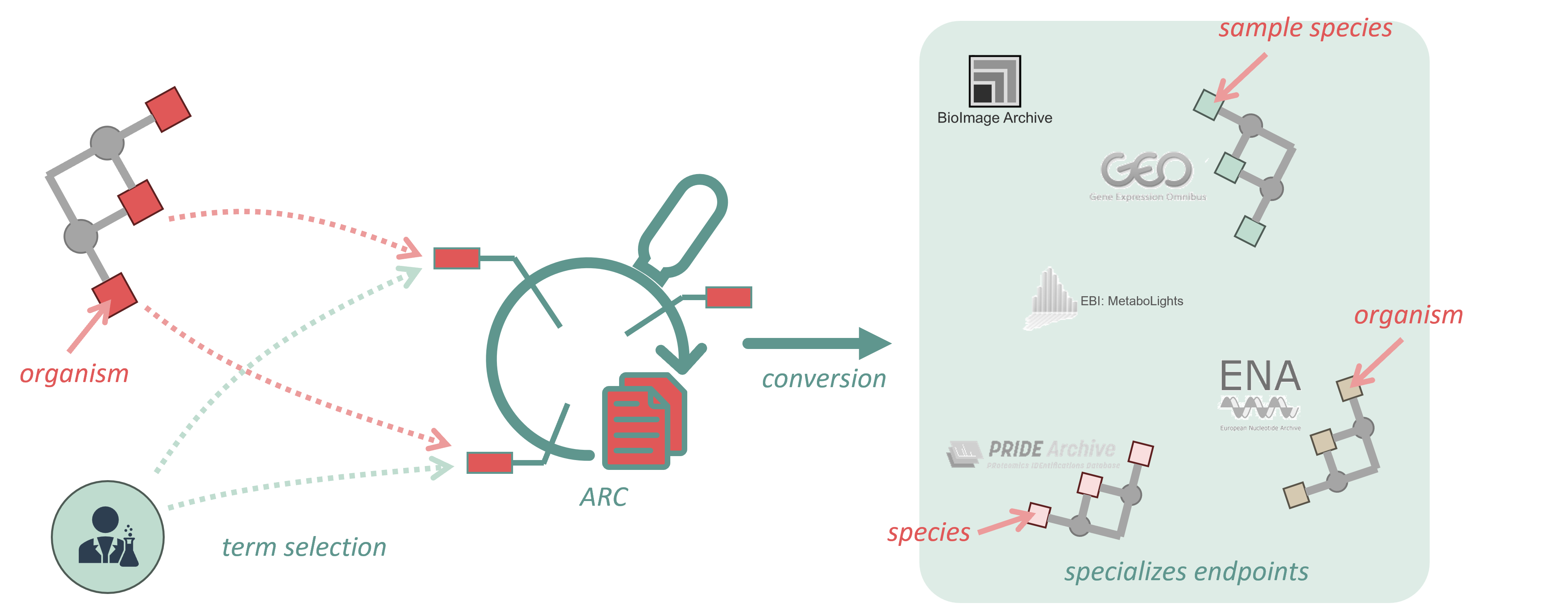 Ontology Term Mapping