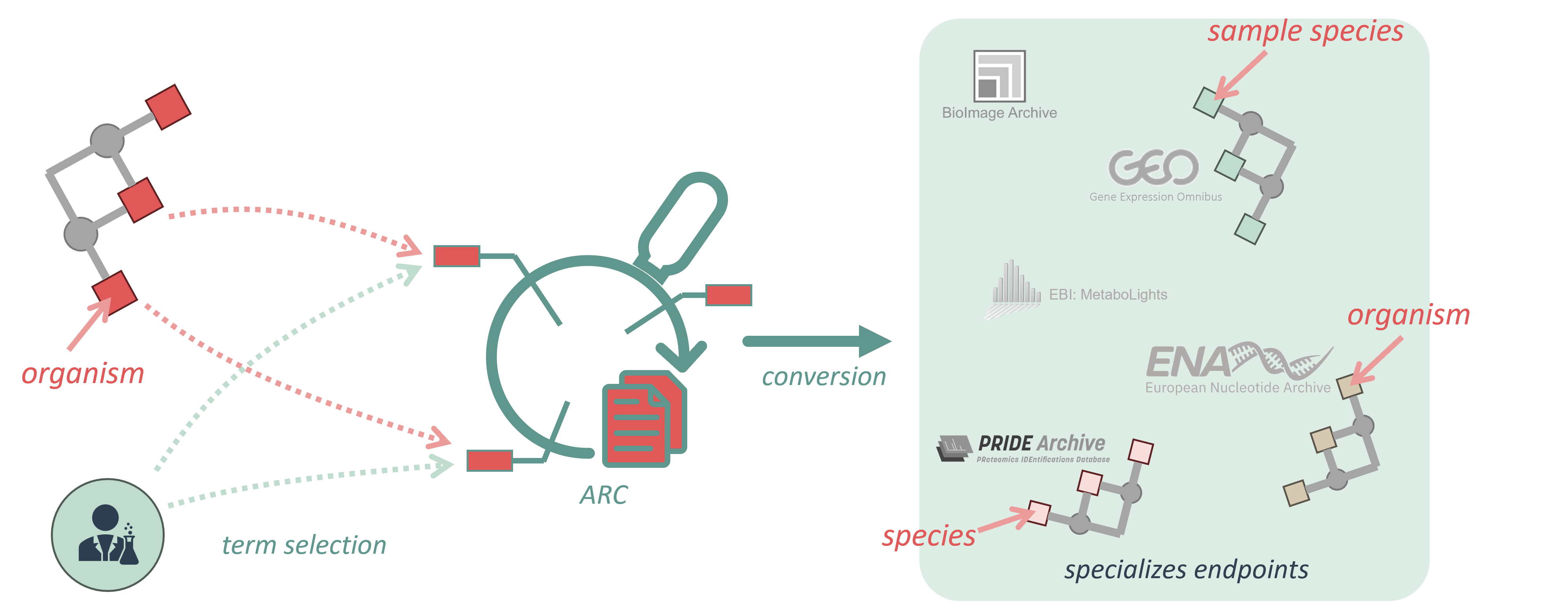 ARC Shared Vocabulary Shared Comprehension