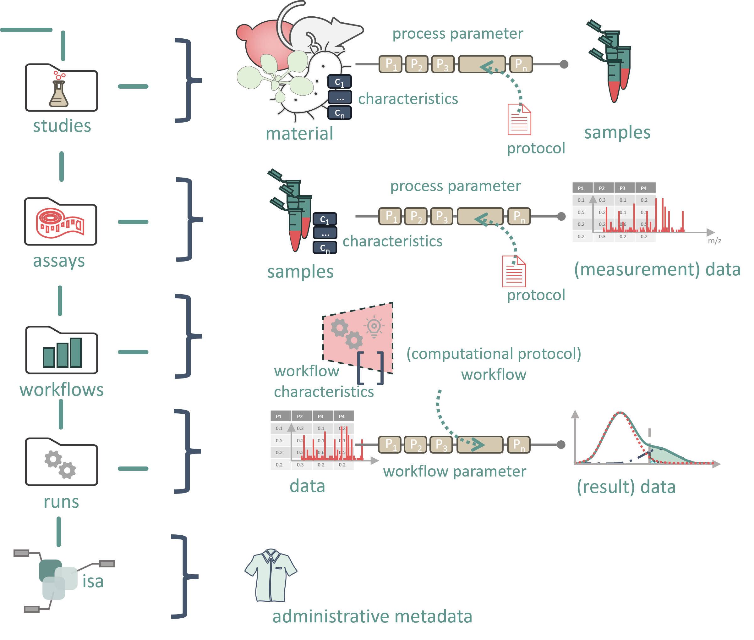 ARC scaffold structure