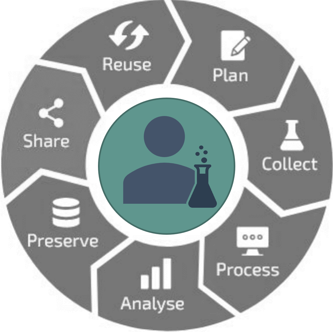 Research data lifecycle